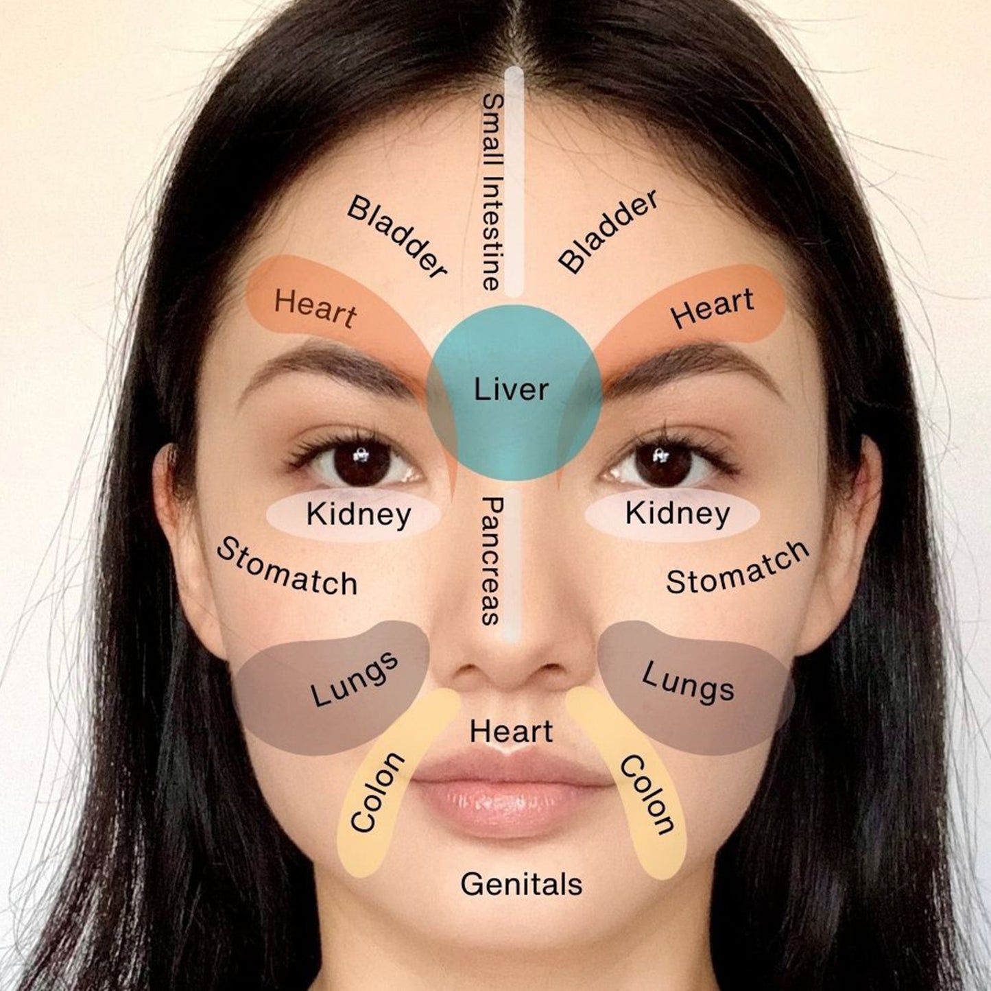 Jade Bojin Gua Sha Spoon